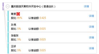 重庆锻造天青软件开发中心 普通合伙模式下的软件创新实践