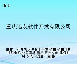 重庆迅友软件开发 专注本地化服务的软件开发公司
